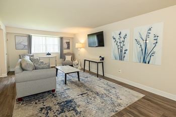 A living room with a couch, chair, and a rug.